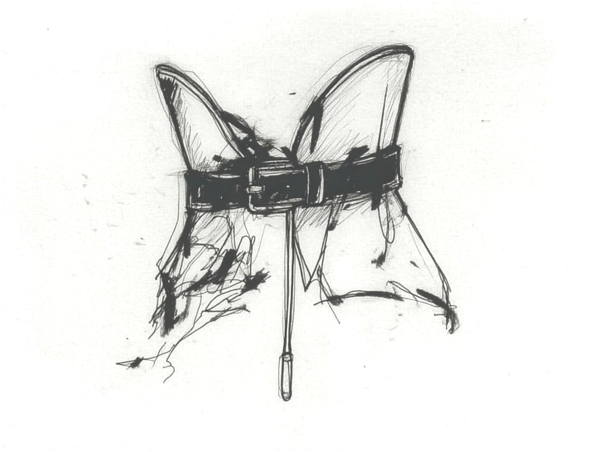 BODY STRUCTURES (ORIGIN)